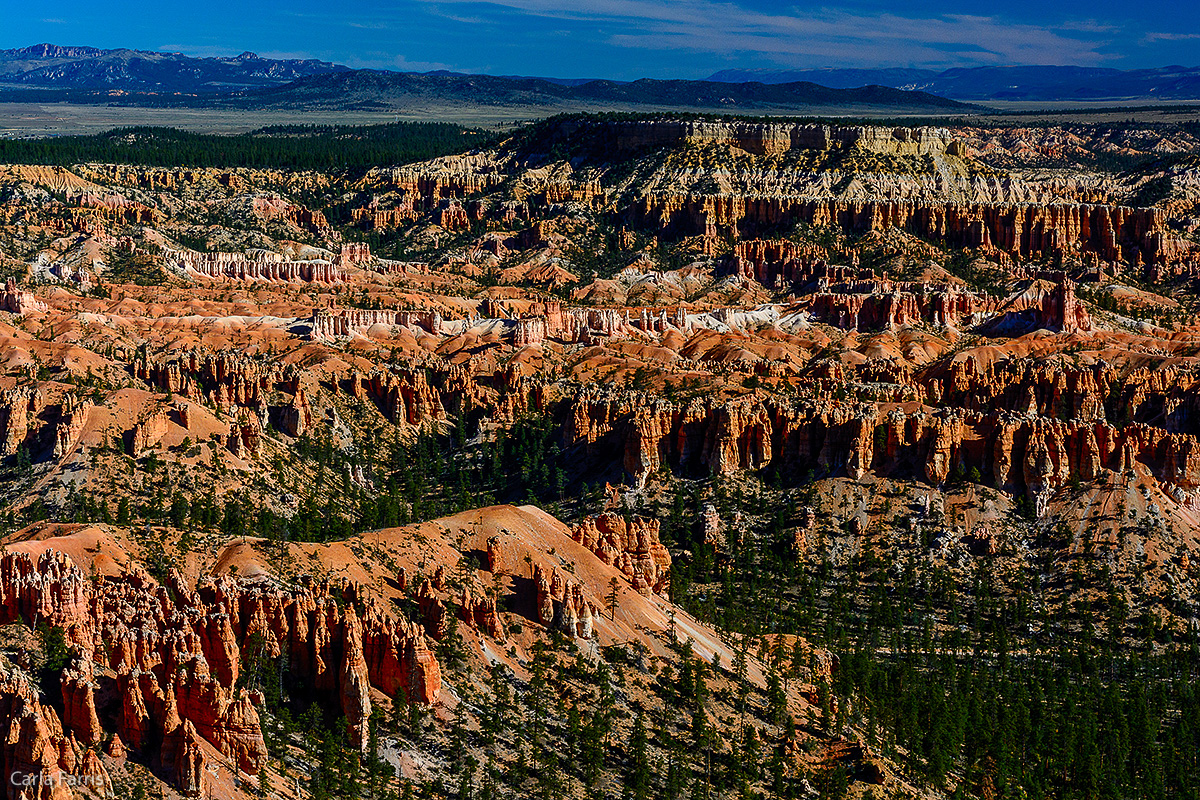 Bryce Canyon National Park - Bryce Point