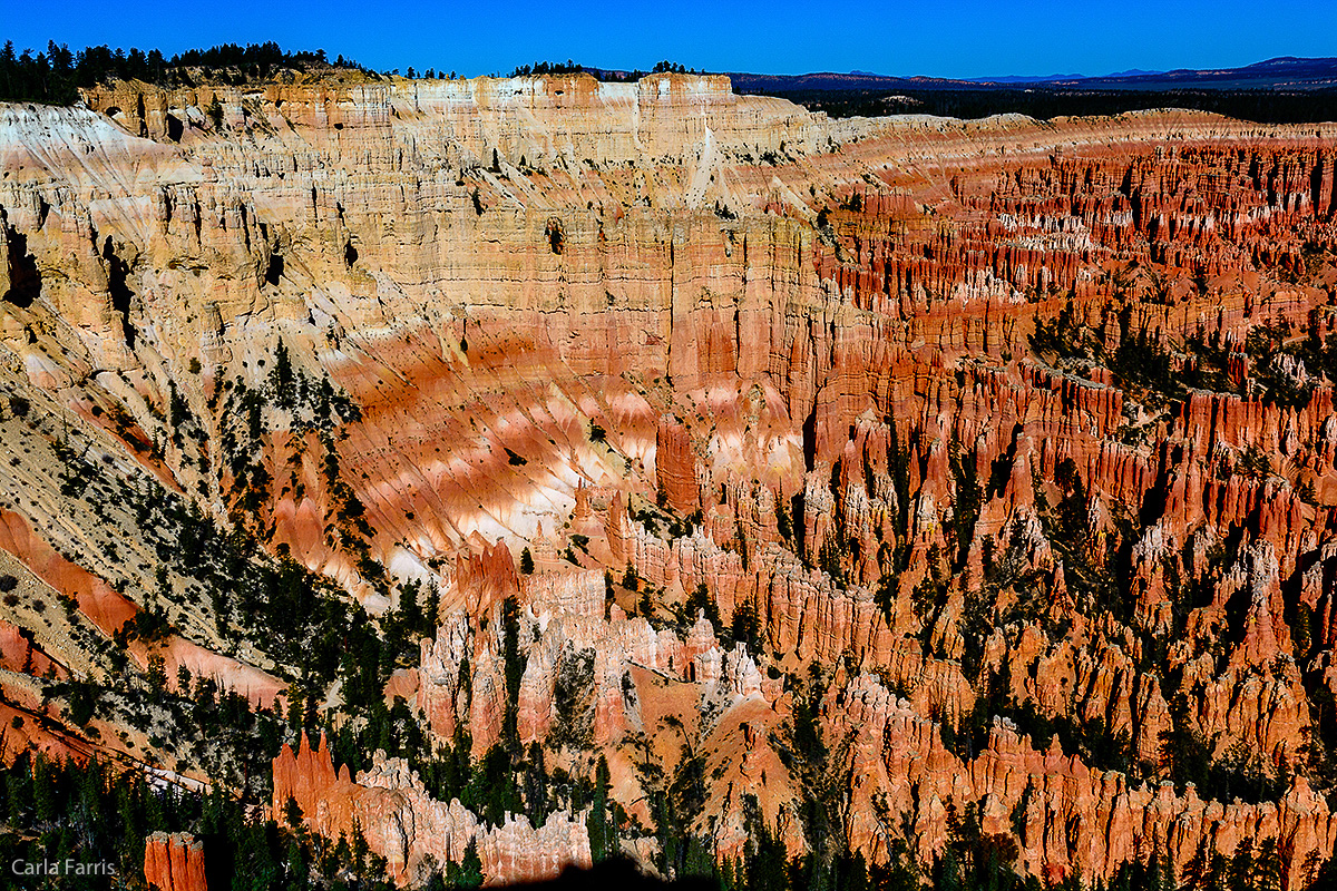 Bryce Canyon National Park - Bryce Point