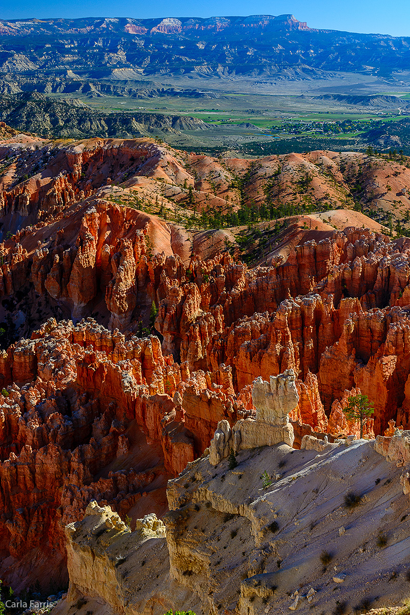 Bryce Canyon National Park - Bryce Point