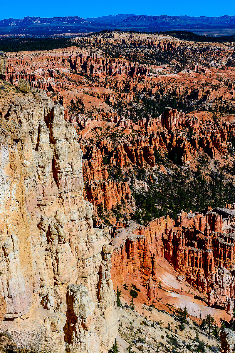 Bryce Canyon National Park - Bryce Point