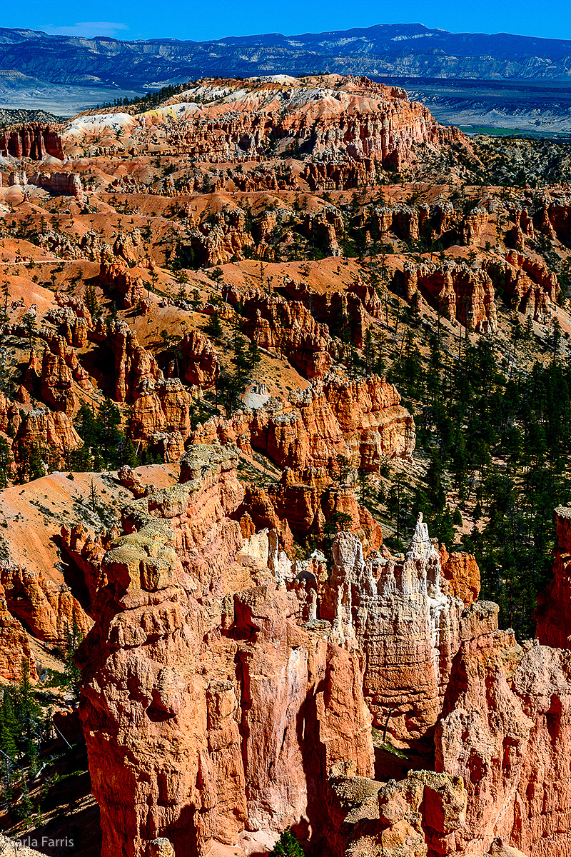 Bryce Canyon National Park - Sunset Point