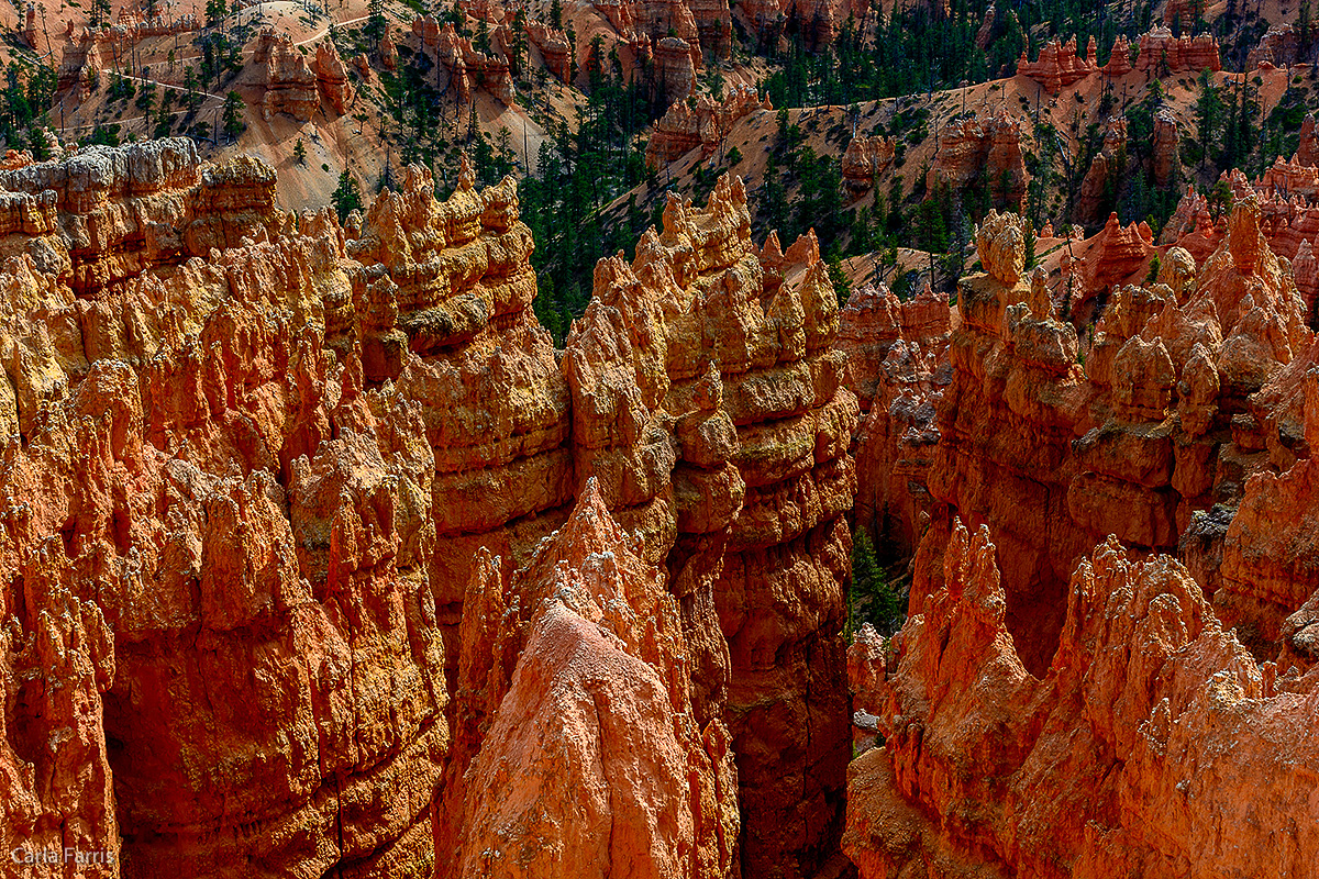 Bryce Canyon National Park - Sunset Point