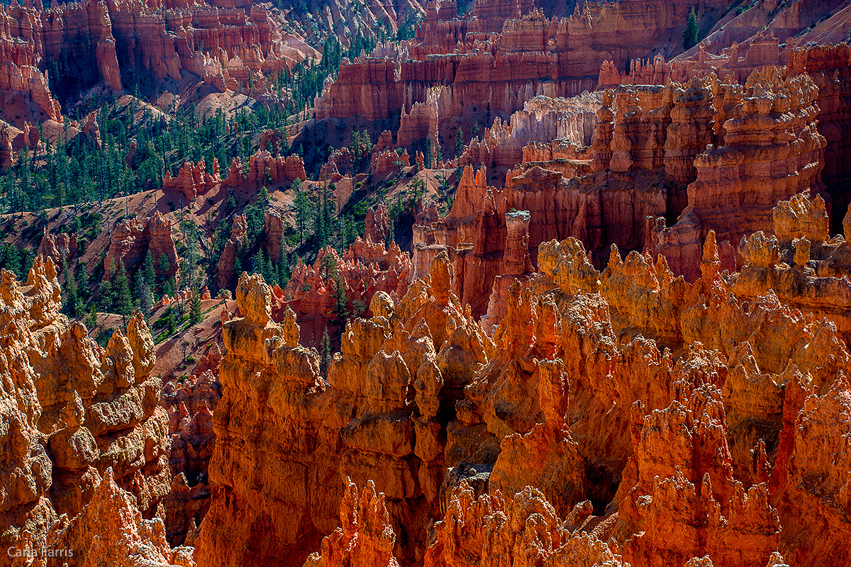 Bryce Canyon National Park - Sunset Point