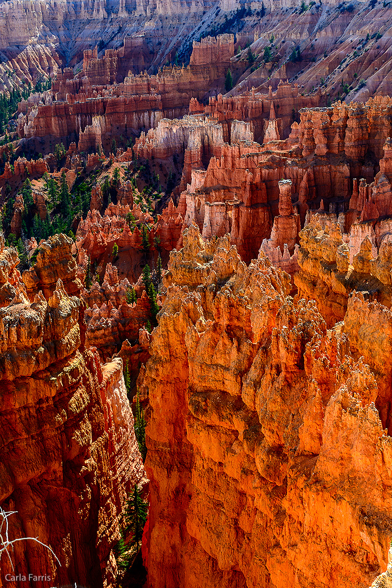 Bryce Canyon National Park - Sunset Point