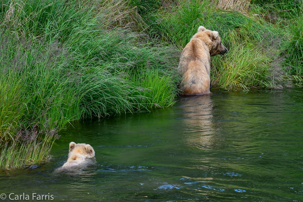 273 & The Cub (aka Velcro)