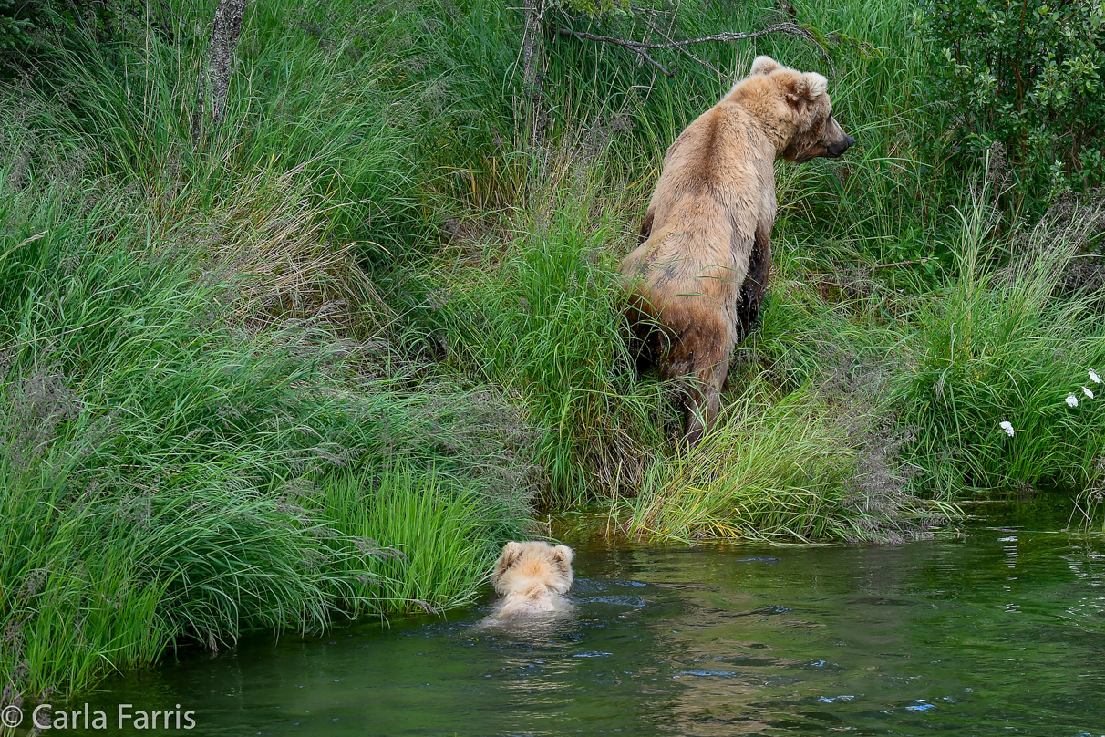 273 & The Cub (aka Velcro)