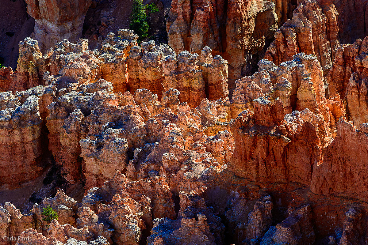 Bryce Canyon National Park - Bryce Point