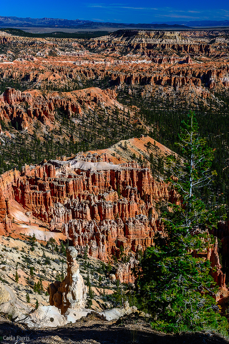 Bryce Canyon National Park - Bryce Point