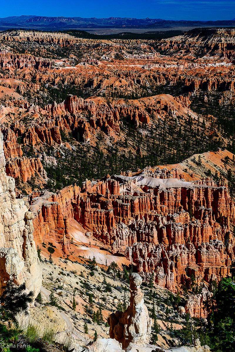 Bryce Canyon National Park - Bryce Point