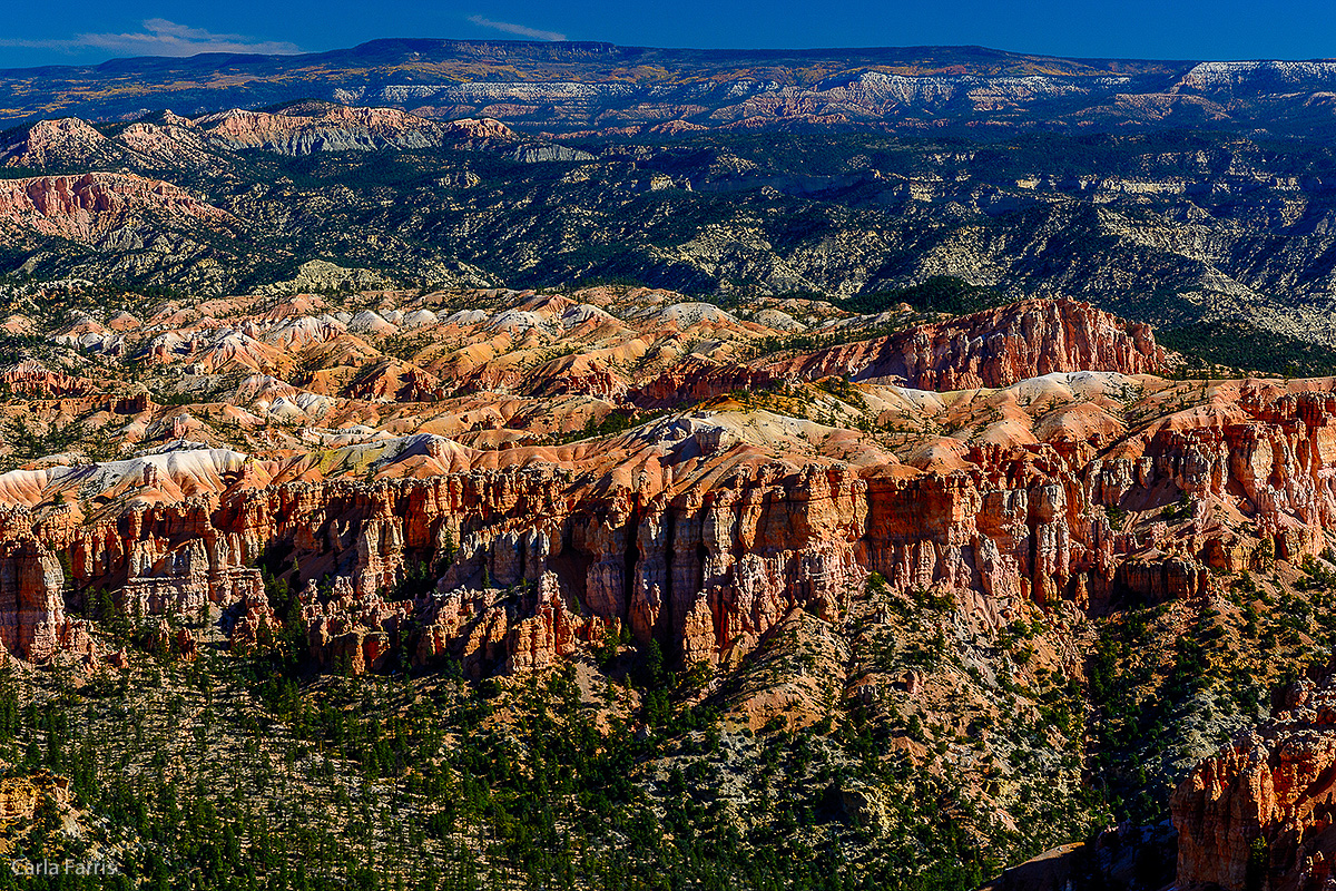 Bryce Canyon National Park - Bryce Point