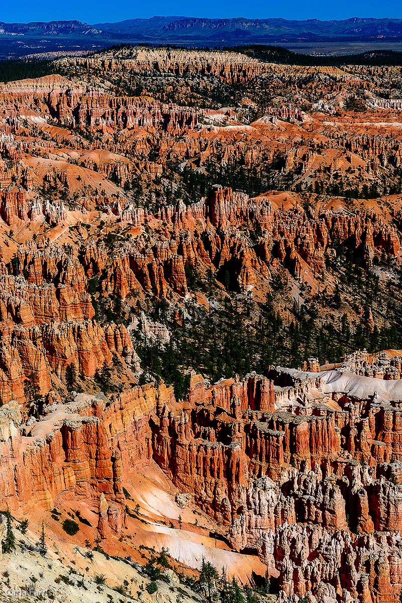 Bryce Canyon National Park - Bryce Point