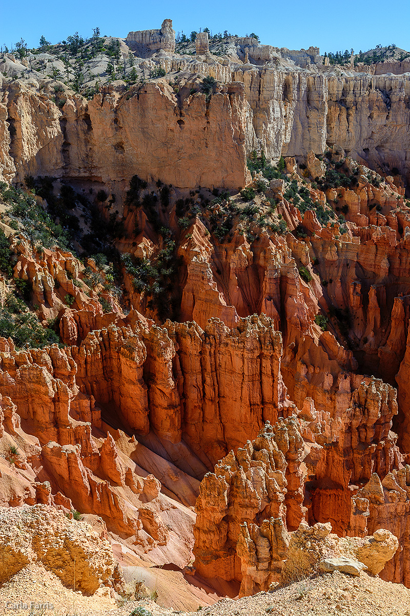 Bryce Canyon National Park - Paria View