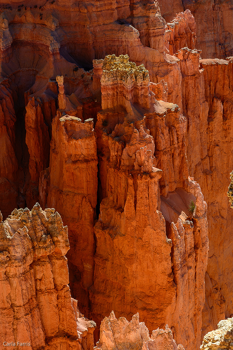 Bryce Canyon National Park - Paria View