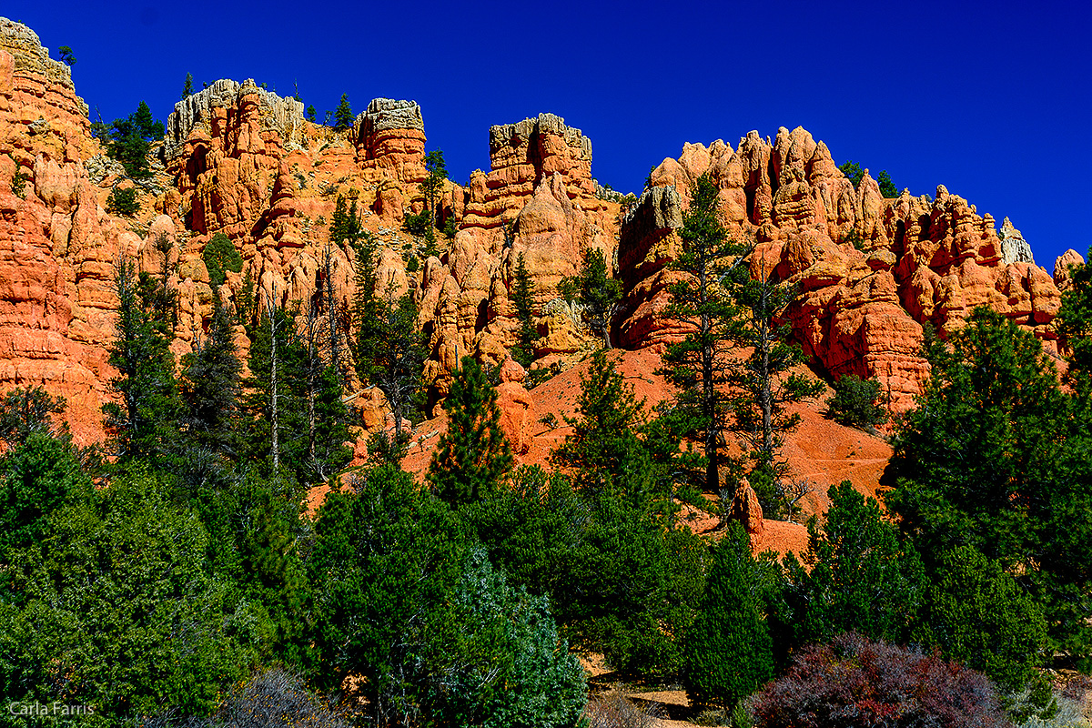 Bryce Canyon National Park