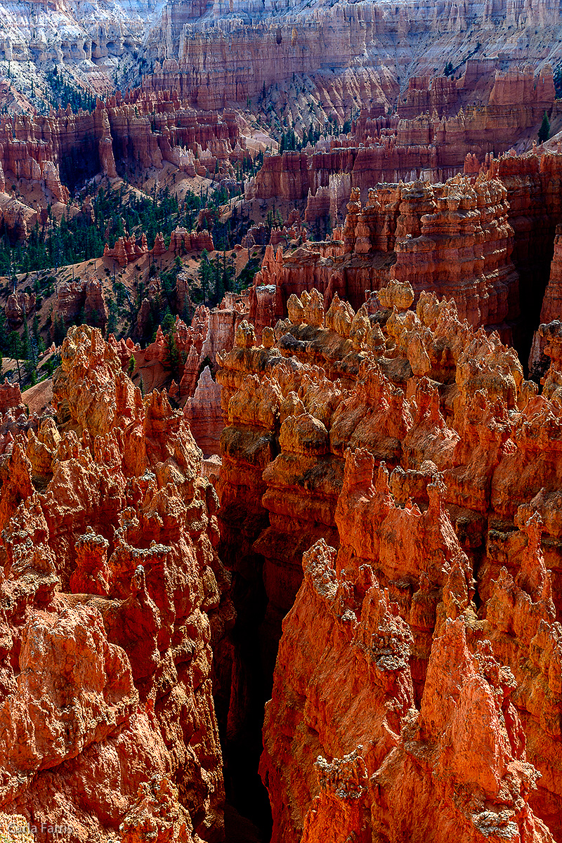 Bryce Canyon National Park - Sunset Point