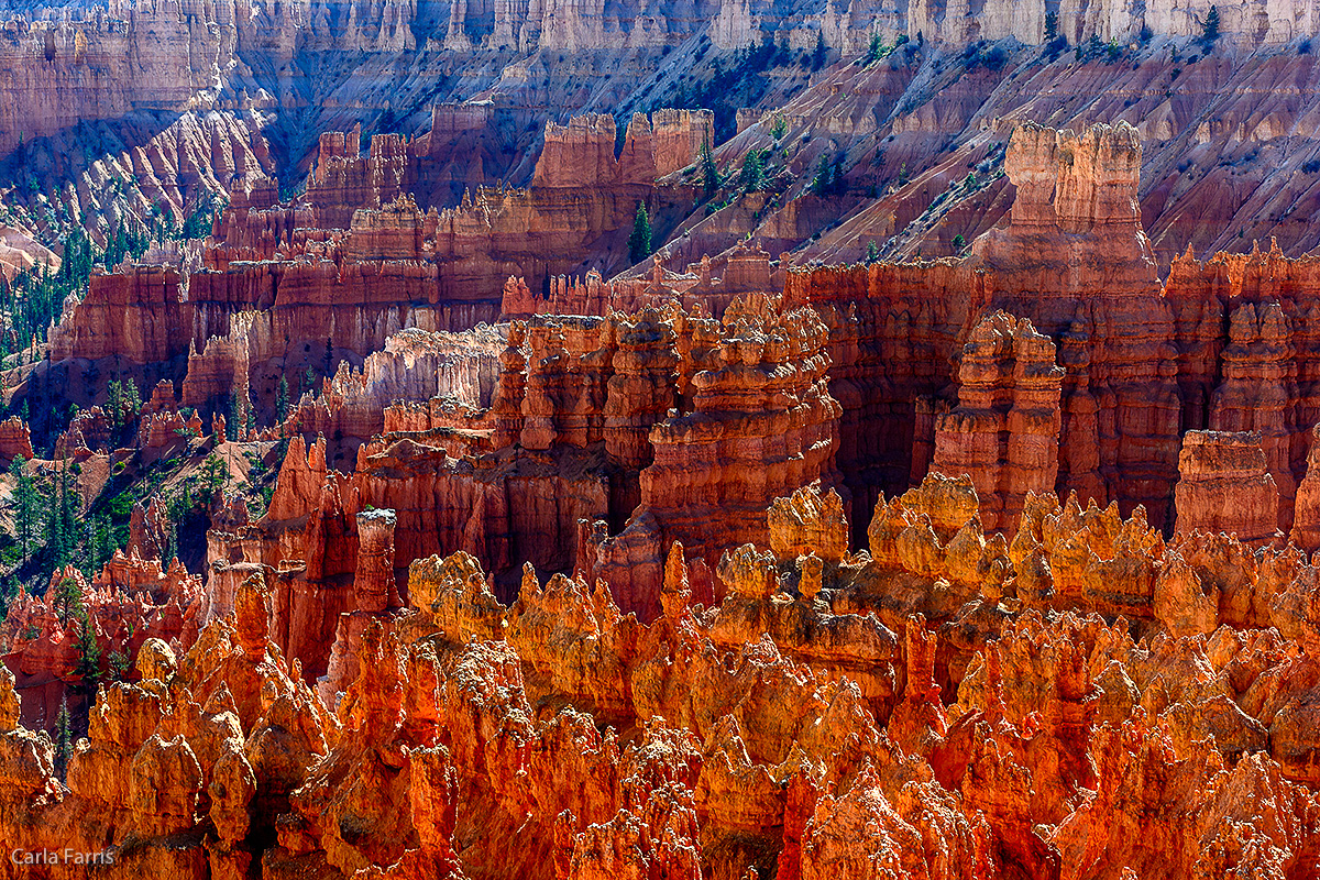 Bryce Canyon National Park - Sunset Point