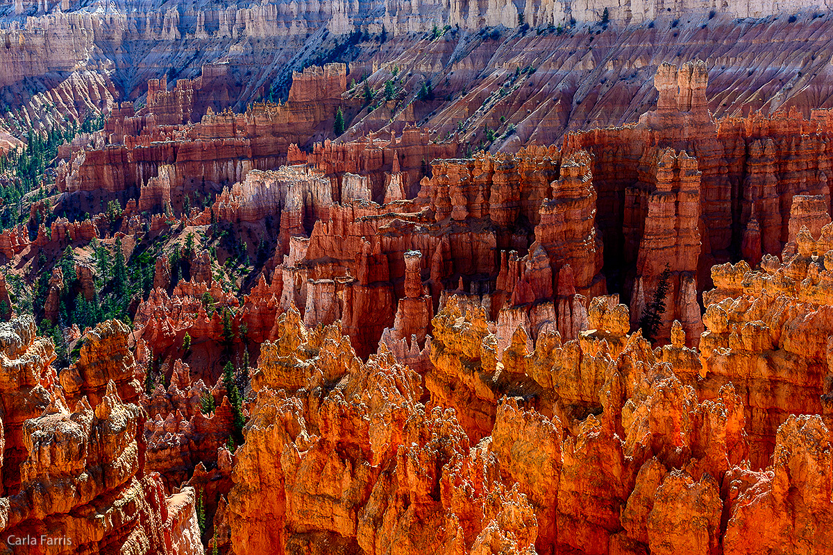 Bryce Canyon National Park - Sunset Point