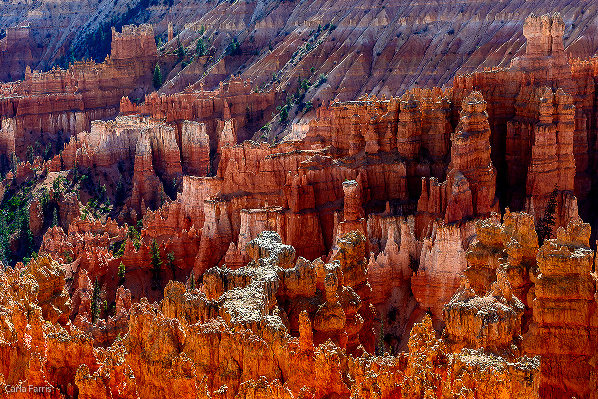 Bryce Canyon National Park - Sunset Point