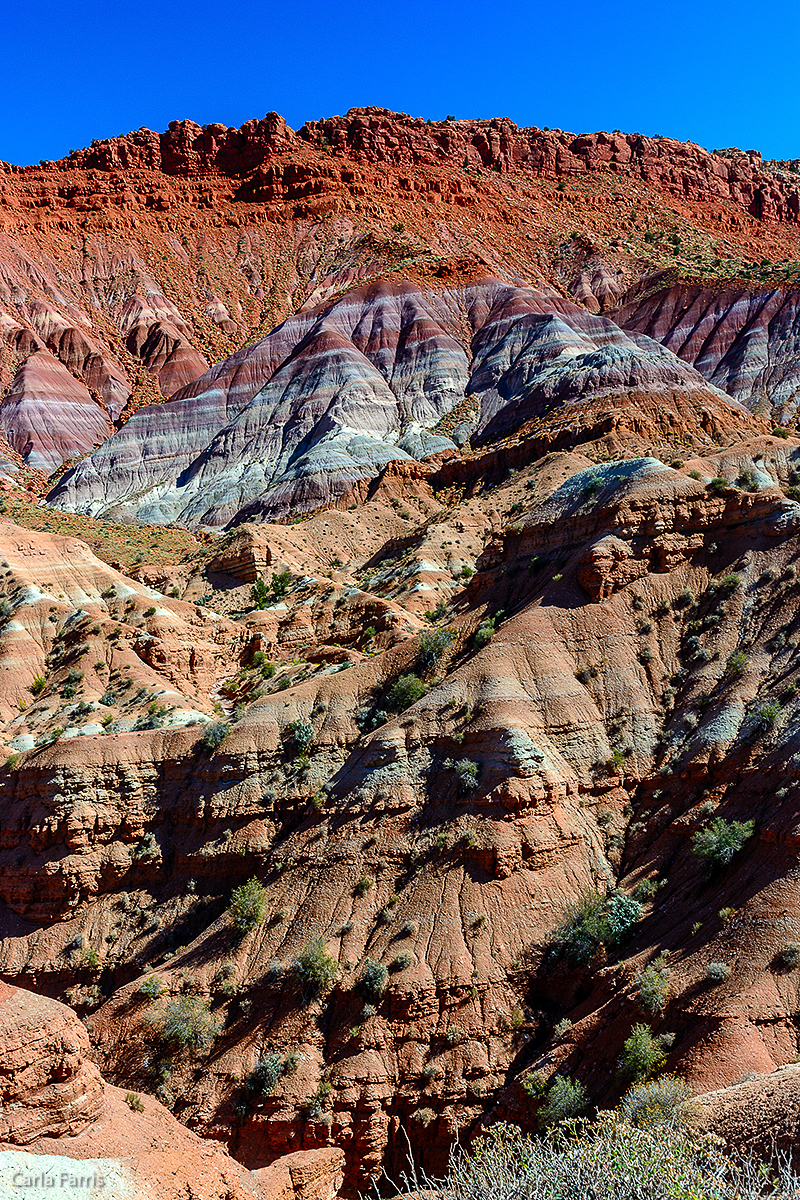 Paria Canyon