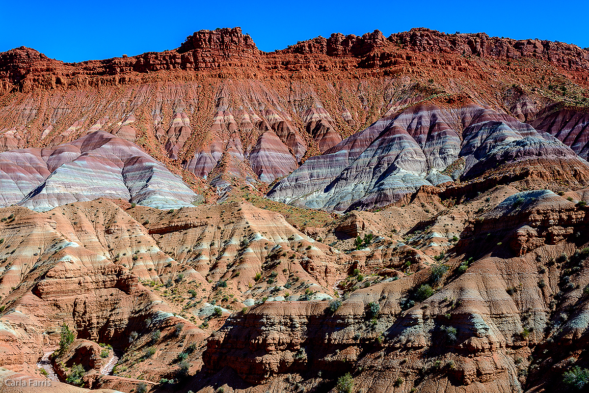 Paria Canyon