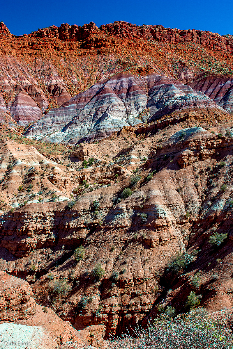 Paria Canyon