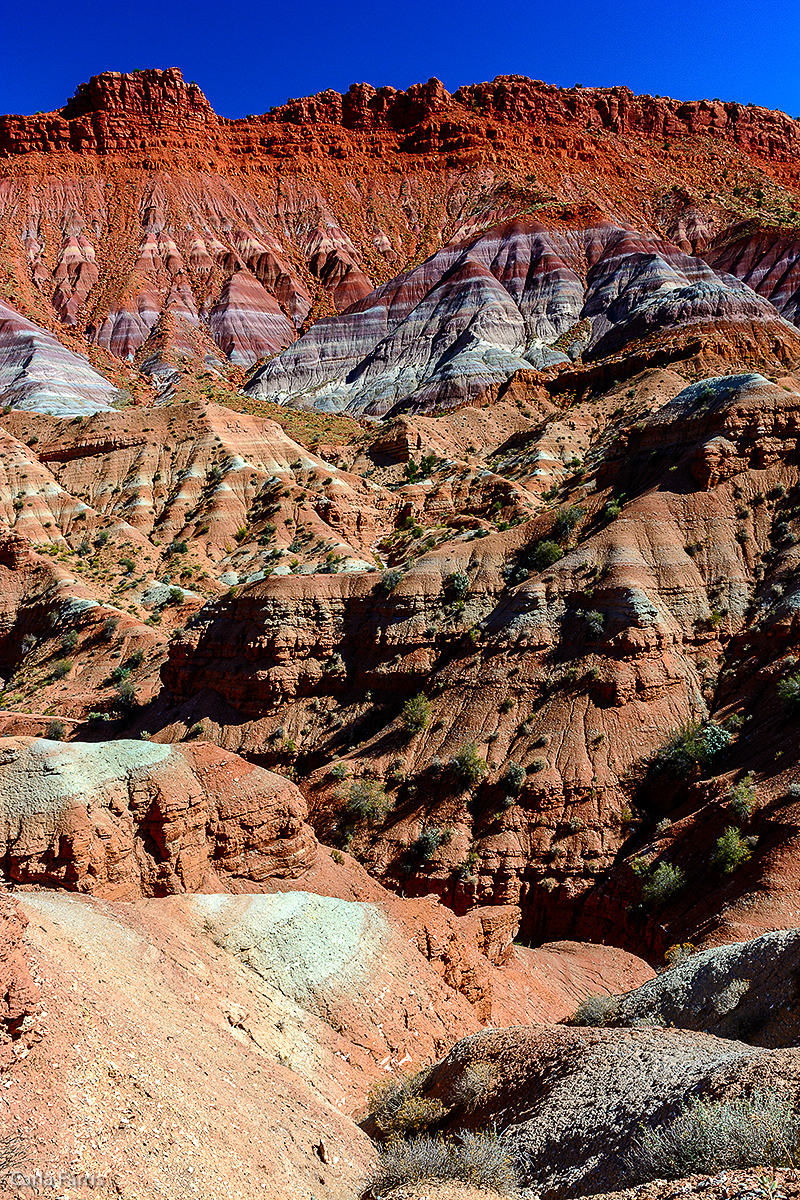 Paria Canyon