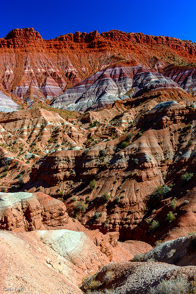 Paria Canyon