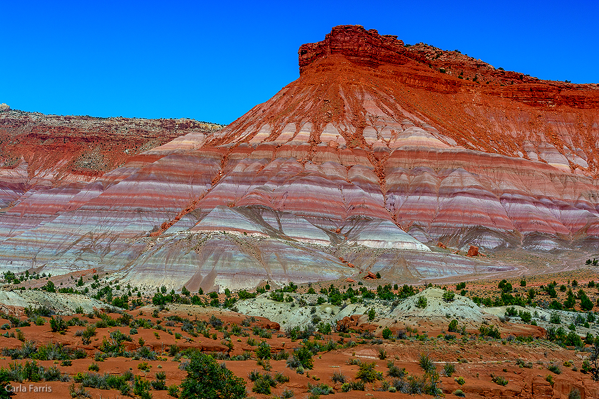 Paria Canyon