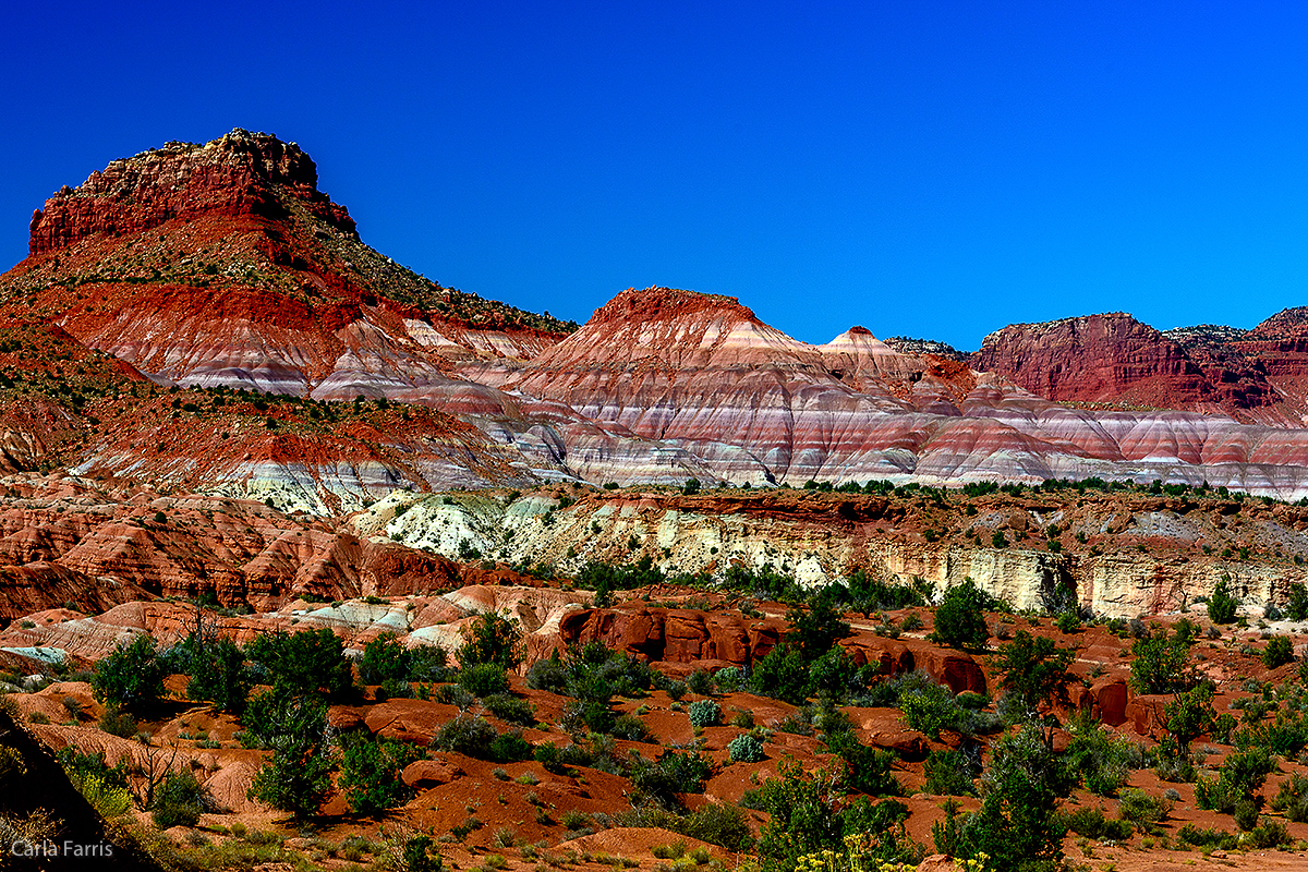 Paria Canyon