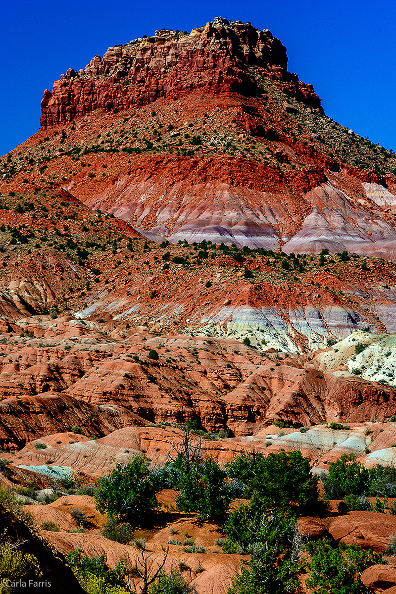 Paria Canyon