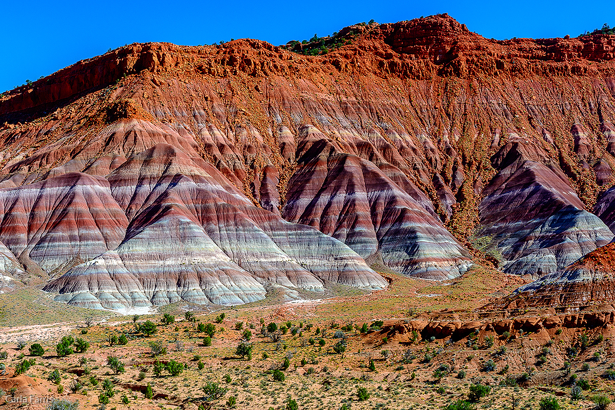 Paria Canyon