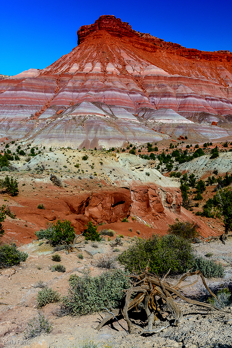 Paria Canyon