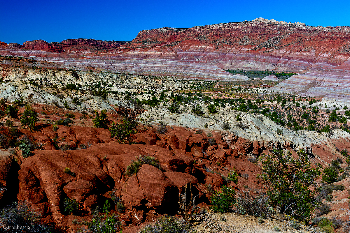 Paria Canyon