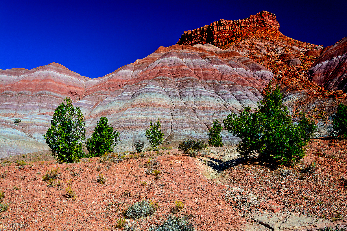 Paria Canyon