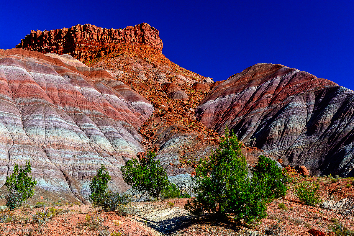 Paria Canyon