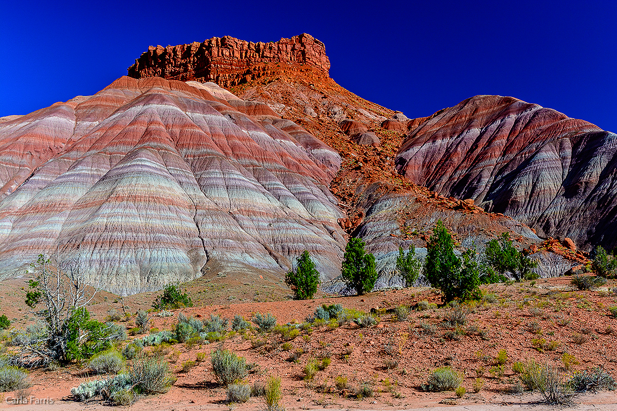 Paria Canyon