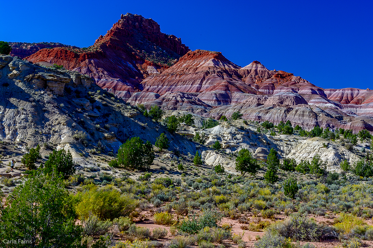 Paria Canyon