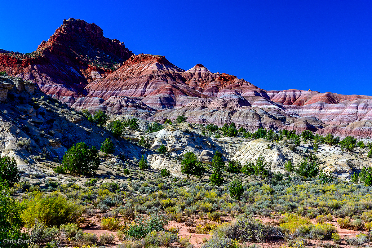 Paria Canyon