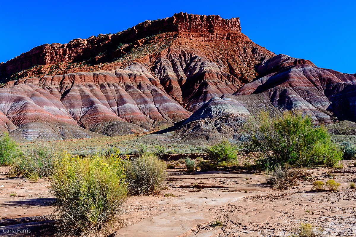 Paria Canyon