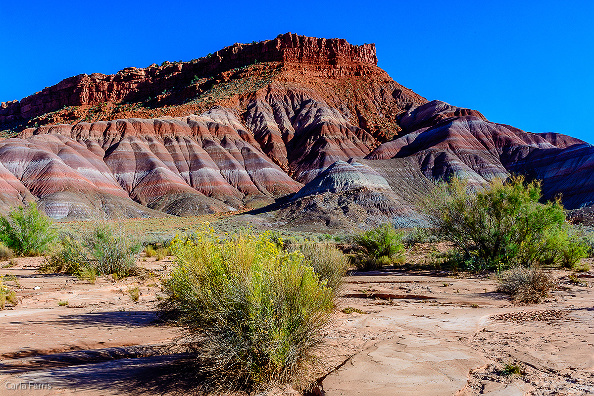 Paria Canyon