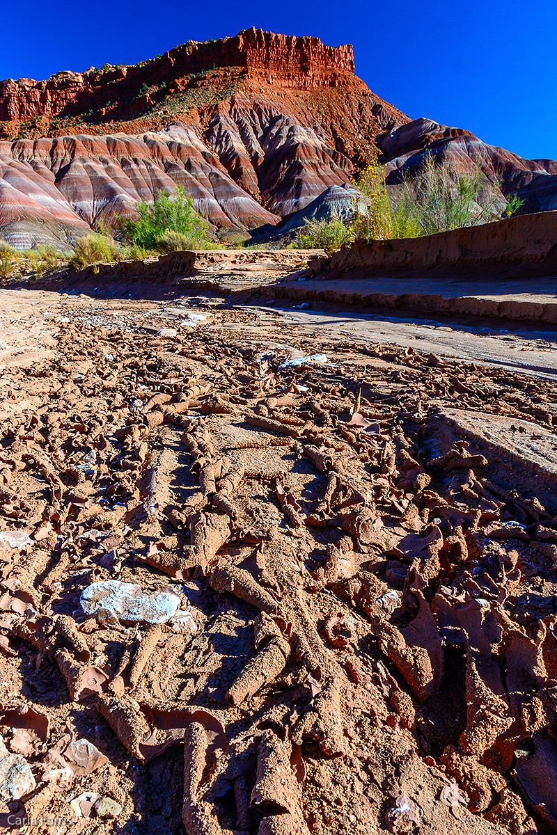 Paria Canyon