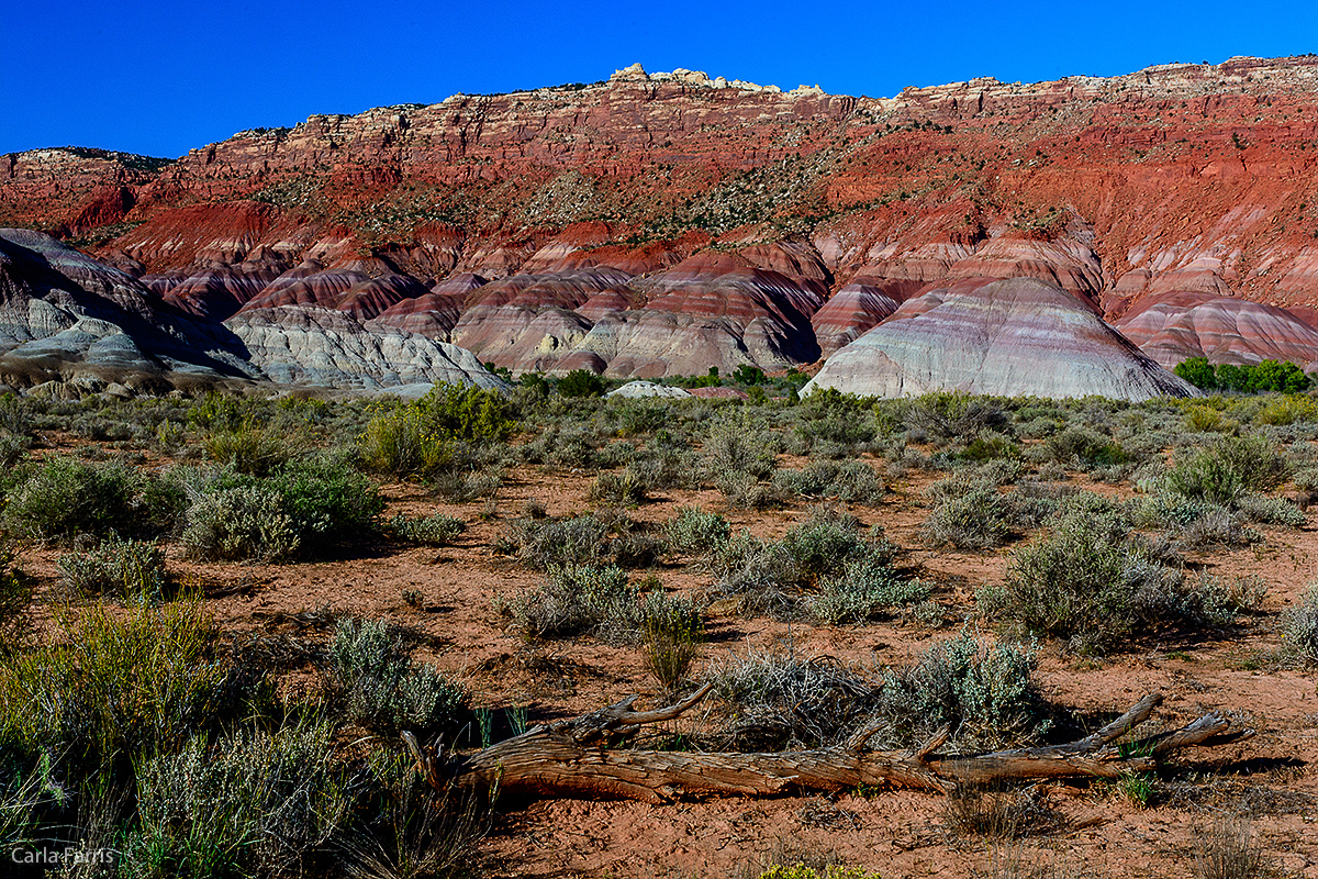 Paria Canyon