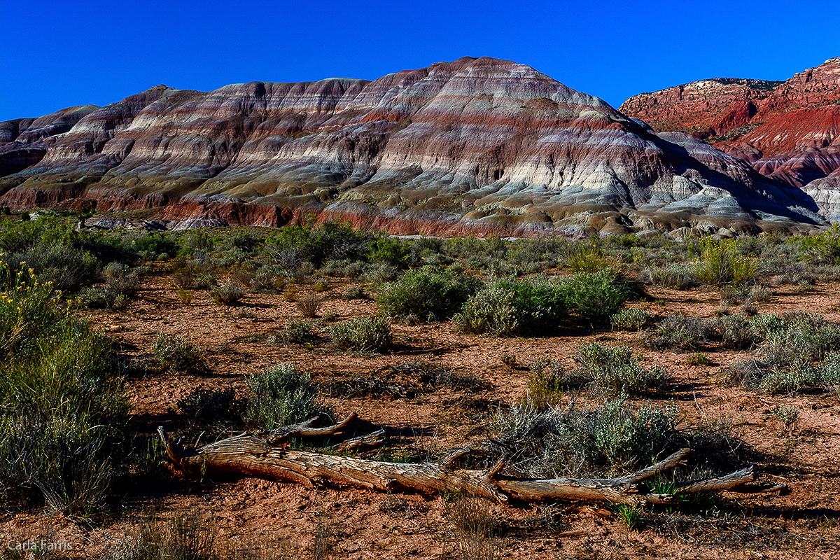 Paria Canyon