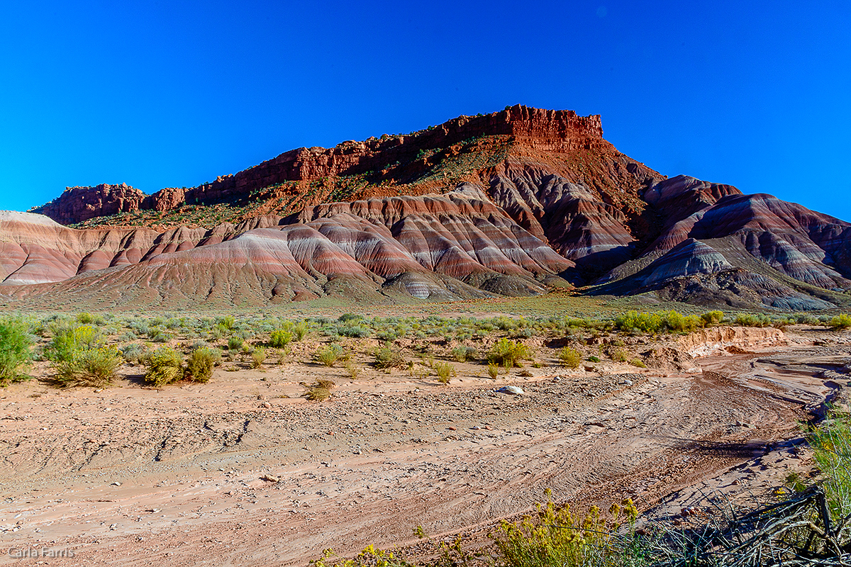 Paria Canyon