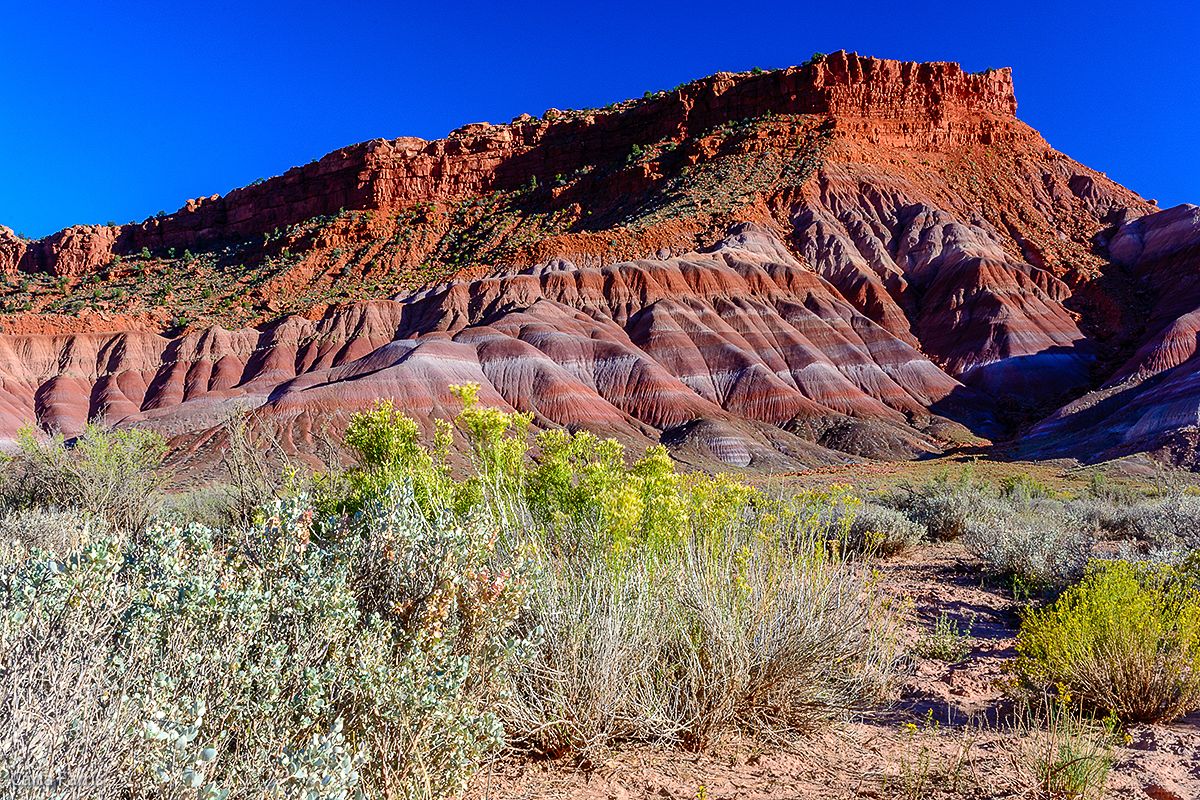 Paria Canyon