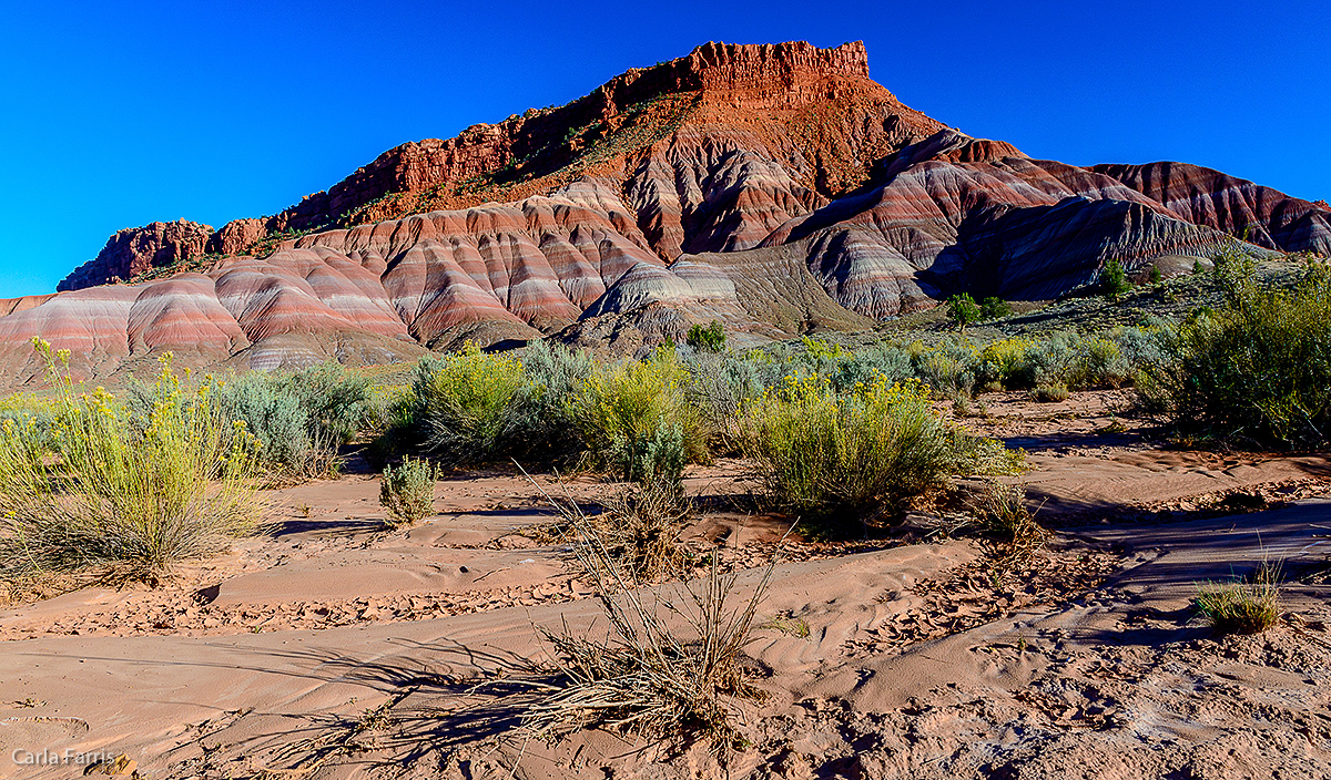 Paria Canyon