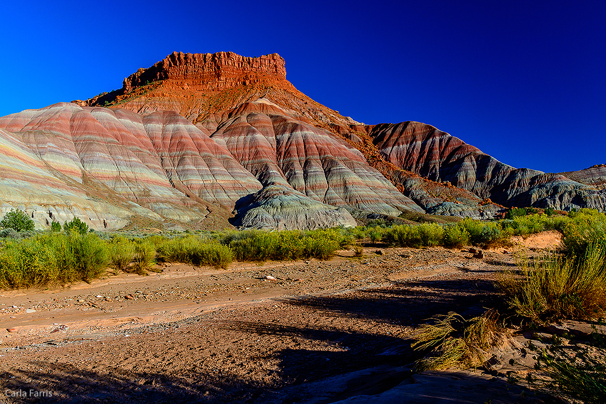 Paria Canyon