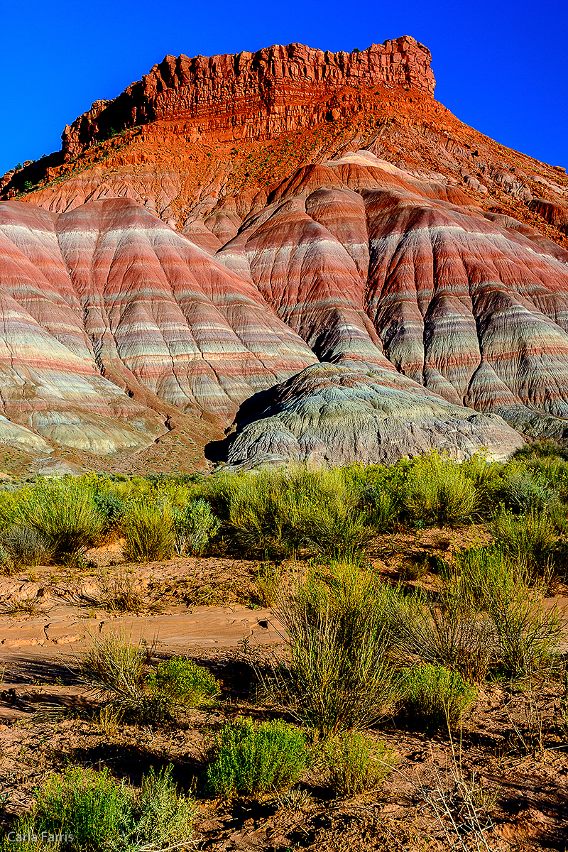 Paria Canyon