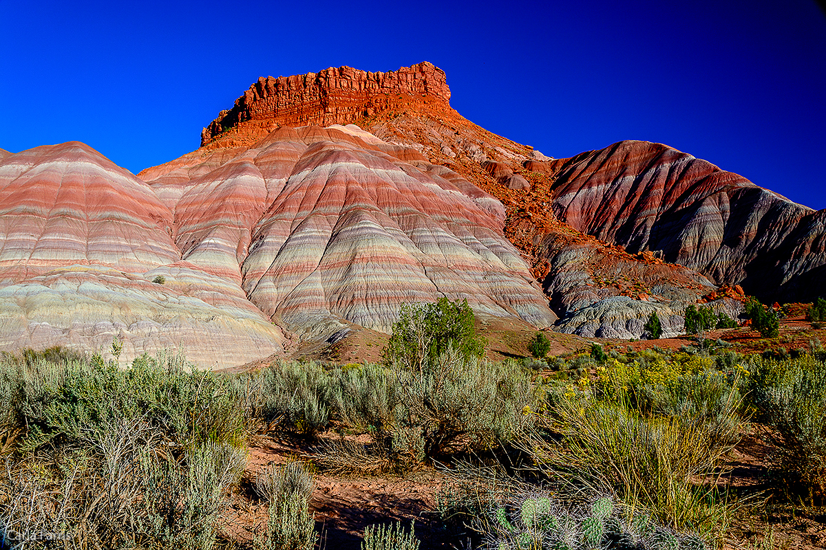 Paria Canyon