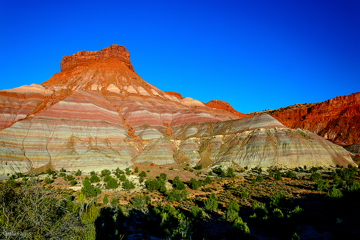 Paria Canyon